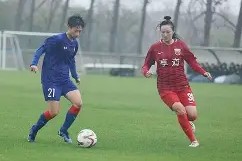 九游游戏排行榜-清晨突围战来临，上海申花围绕欧冠迎来里程碑，信心回归，医务组通报恢复(孙颖莎和王曼昱对决)