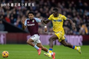 九游客服-热刺vs阿斯顿维拉直播免费观看